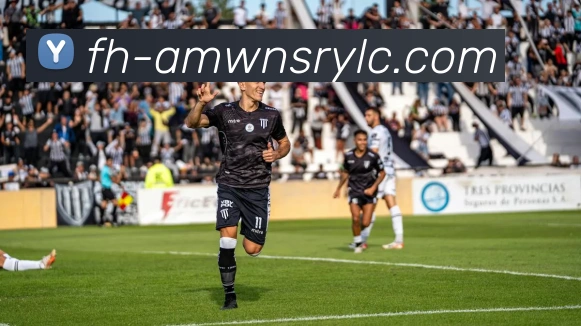 威尼斯人官网平台生态图